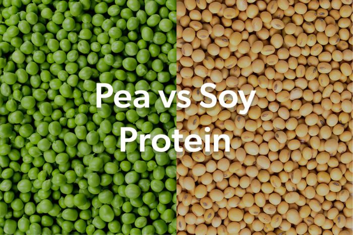 Pea protein vs soy protein