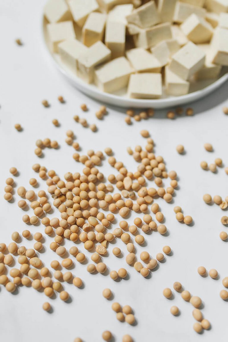 Pea Protein vs. Soy Protein What Are The Differences? Fit Vegan Guide