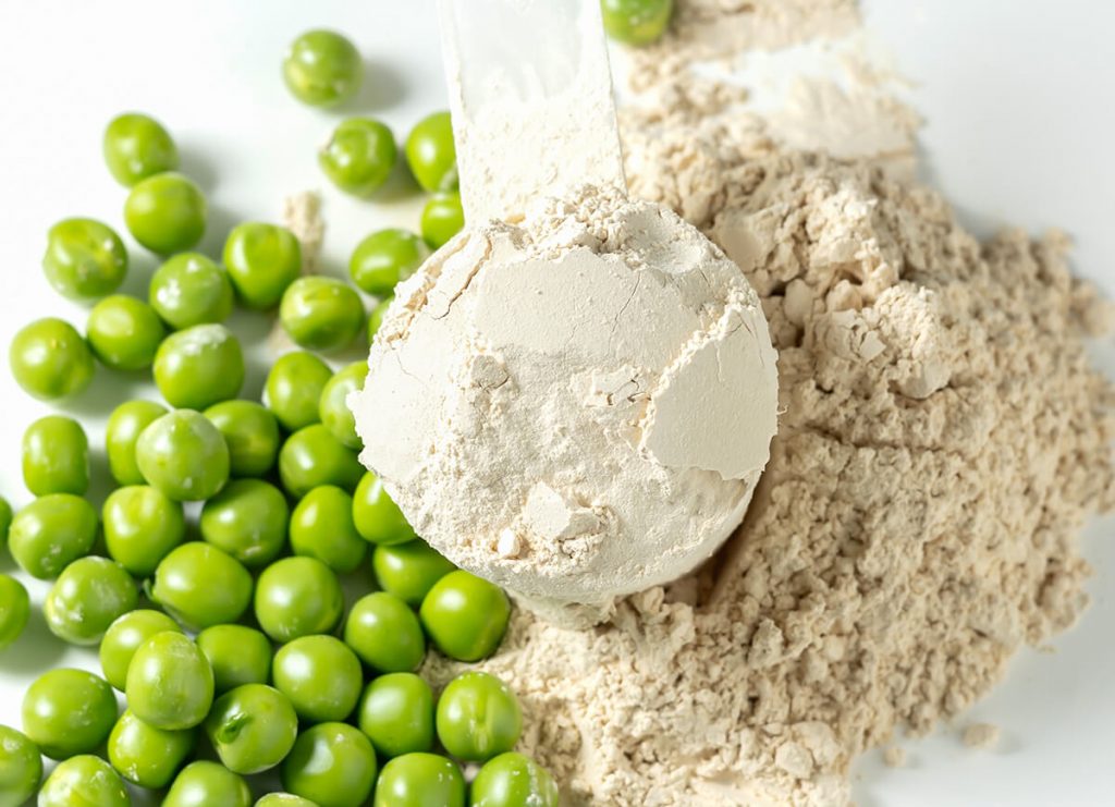 Vegan protein powder recipes