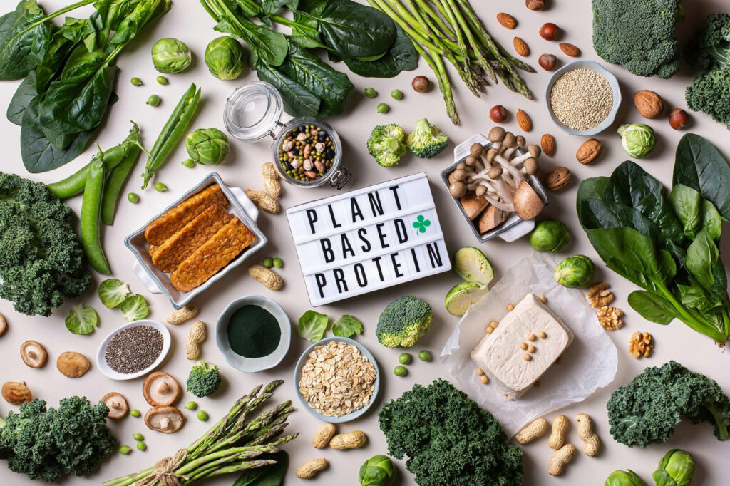 Vegan protein plant-based