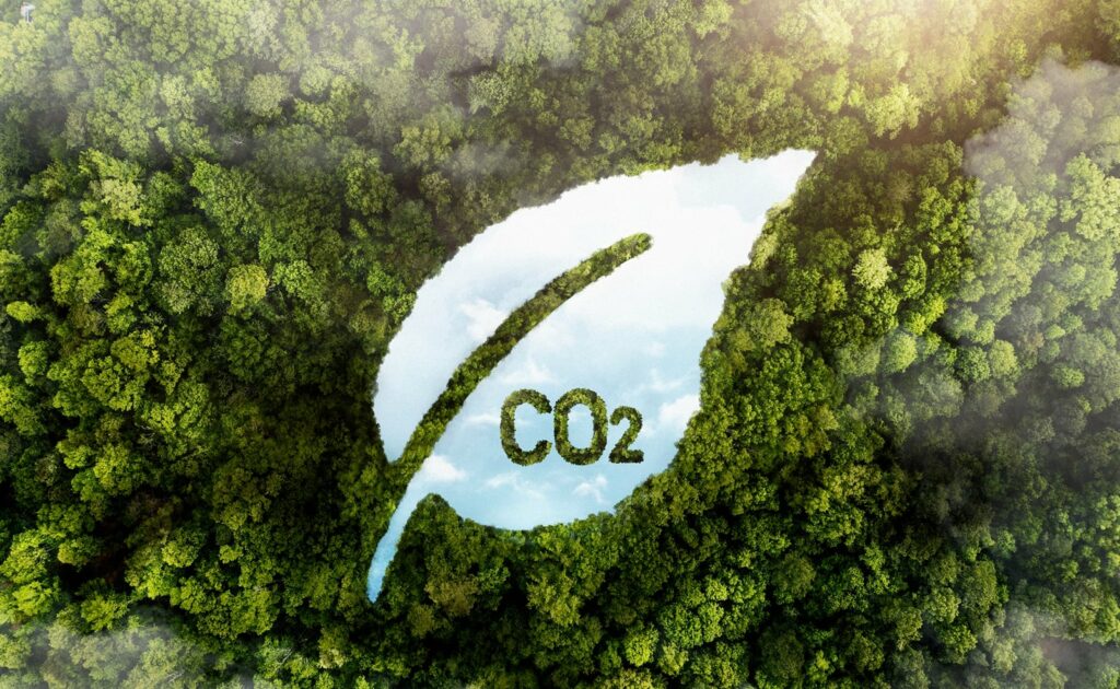 Carbon footprint CO2